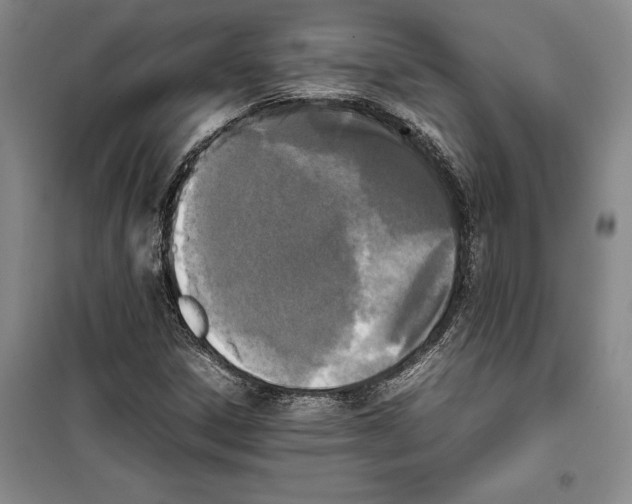 X0000099461306200806061119