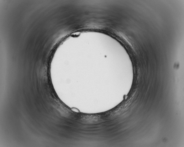 X0000099461307200806061119