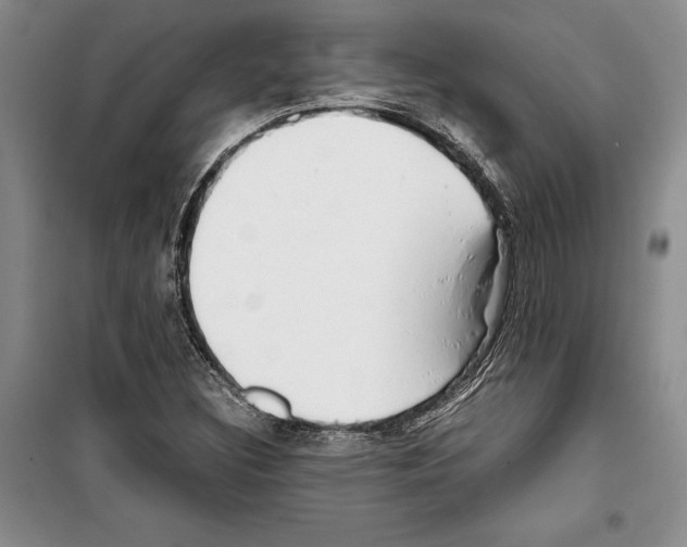 X0000099461308200806061119