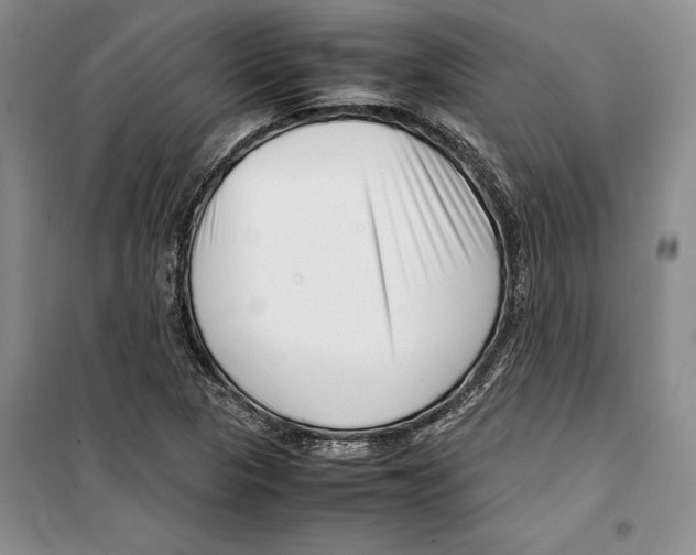 X0000099461313200806061120