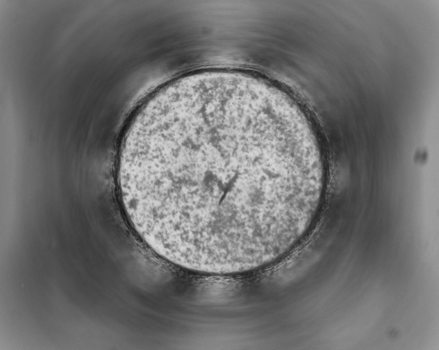 X0000099461314200806061120