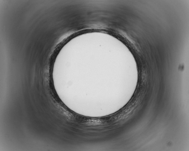 X0000099461315200806061120