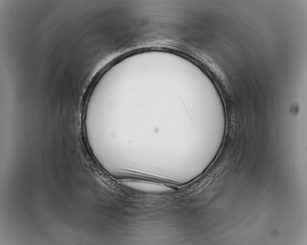 X0000099461316200806061120