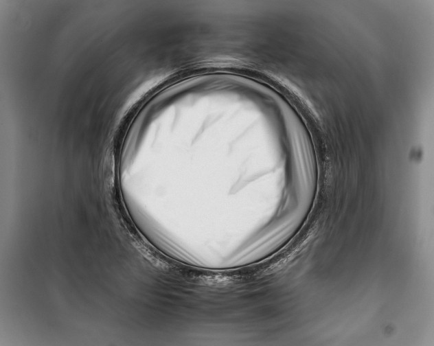 X0000099461317200806061120