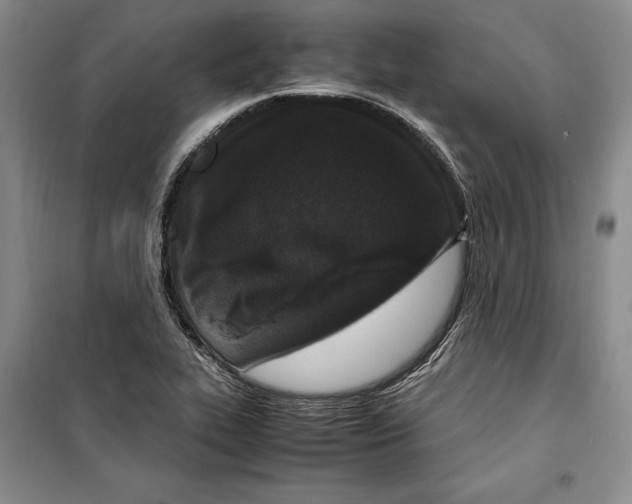 X0000099461319200806061120