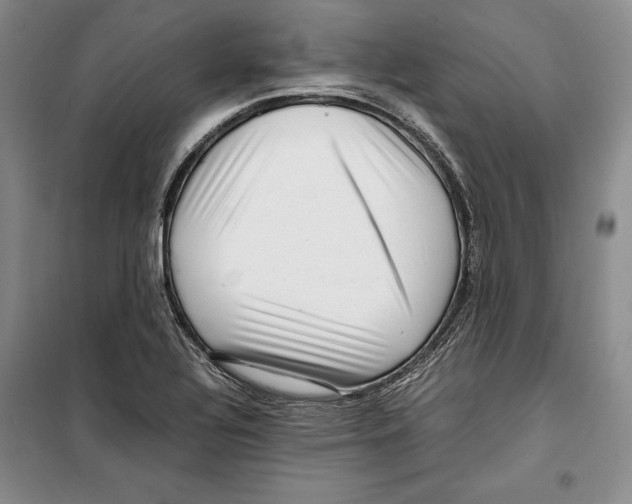 X0000099461320200806061120