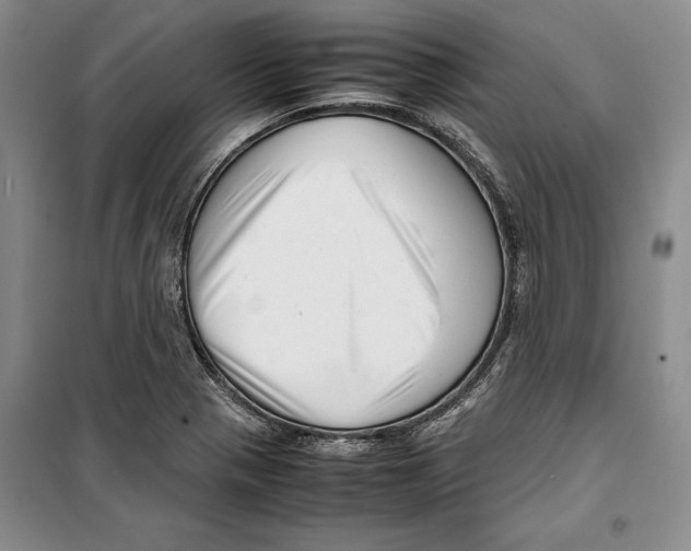 X0000099461321200806061120