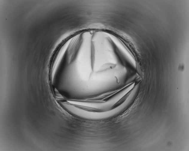 X0000099461326200806061120