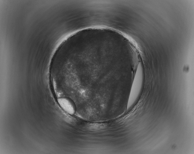 X0000099461327200806061120