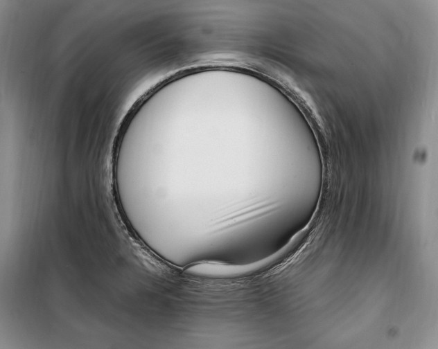 X0000099461328200806061120