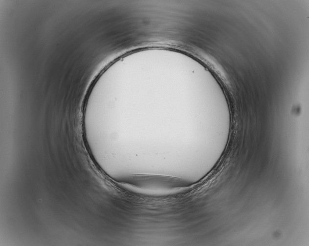 X0000099461332200806061120