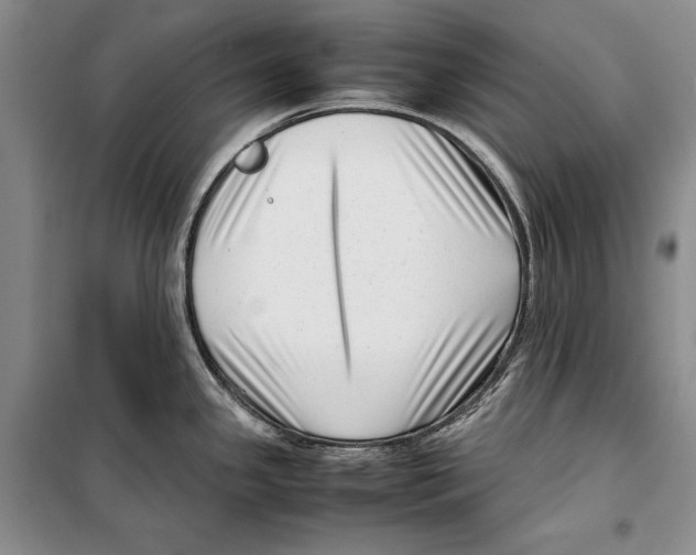 X0000099461341200806061120