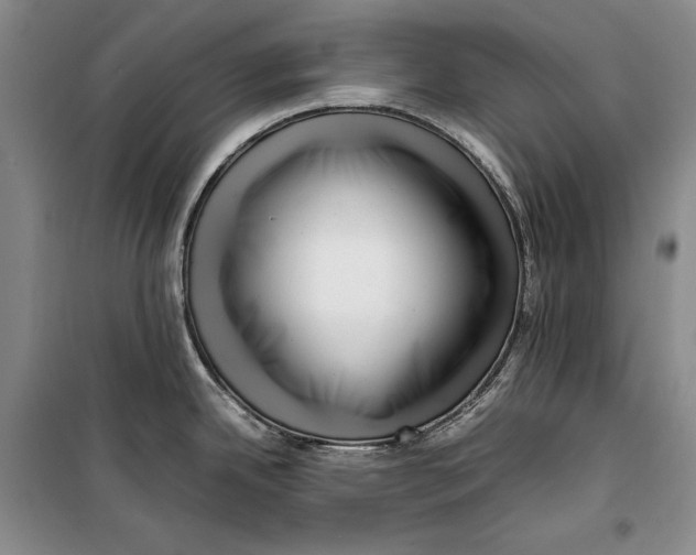 X0000099461342200806061120