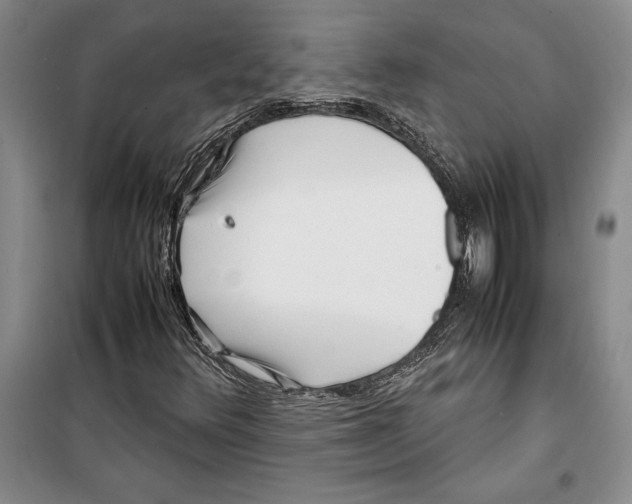 X0000099461348200806061119