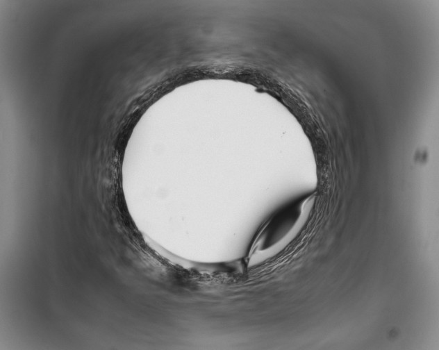 X0000099461349200806061119