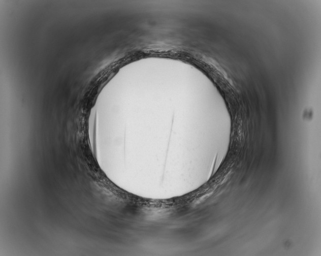 X0000099461350200806061119