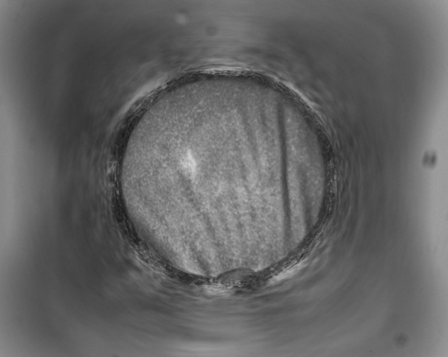 X0000099461351200806061119