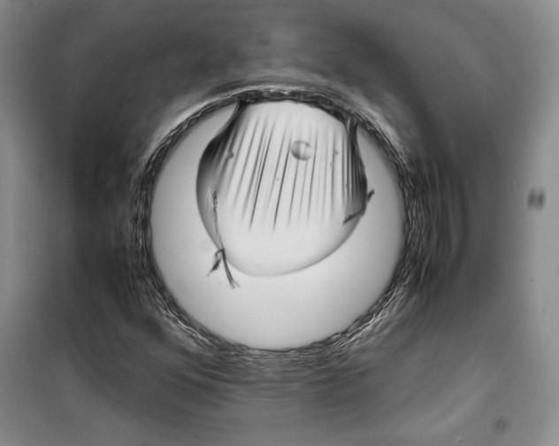 X0000099461352200806061119