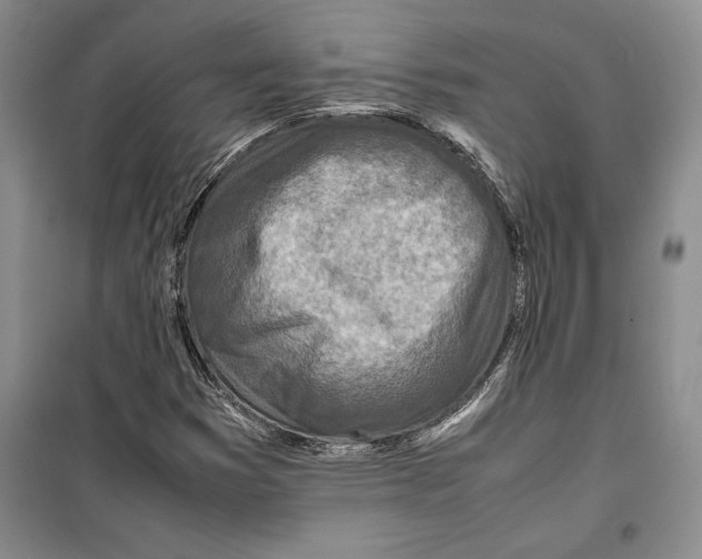 X0000099461353200806061119