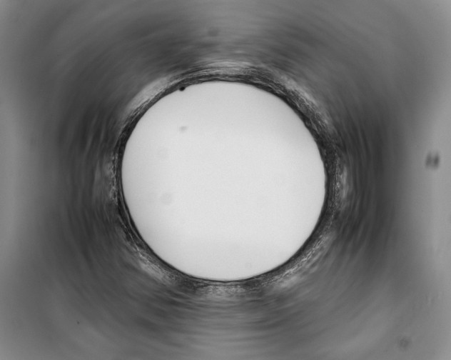 X0000099461354200806061119