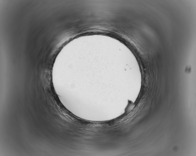 X0000099461355200806061119