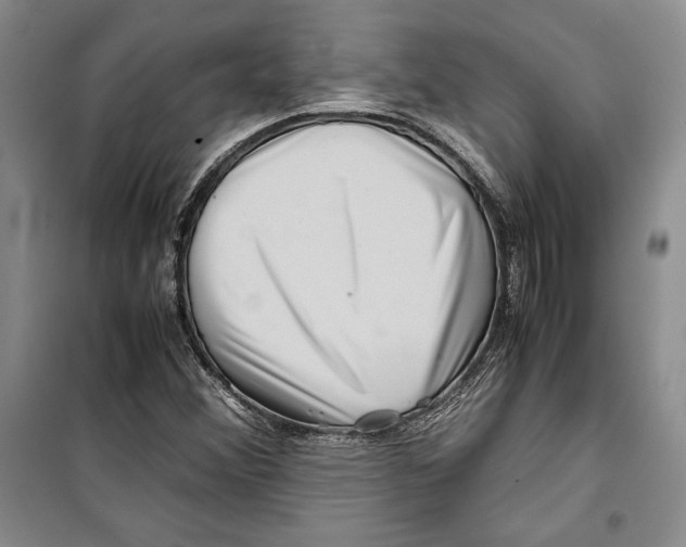 X0000099461356200806061119