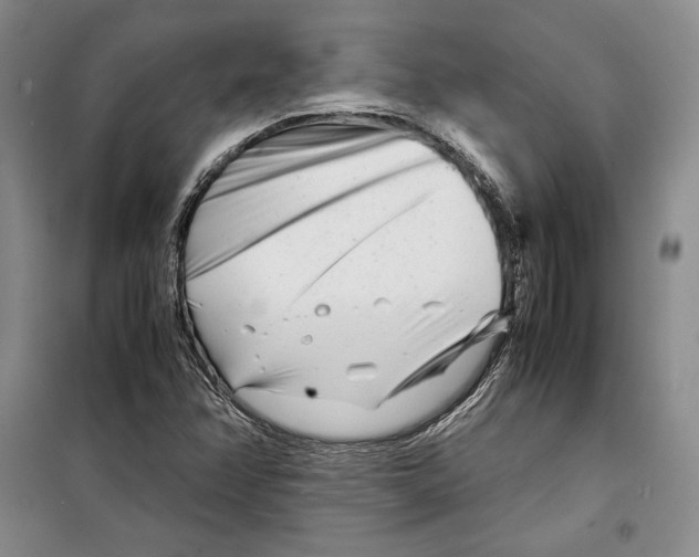 X0000099461358200806061119