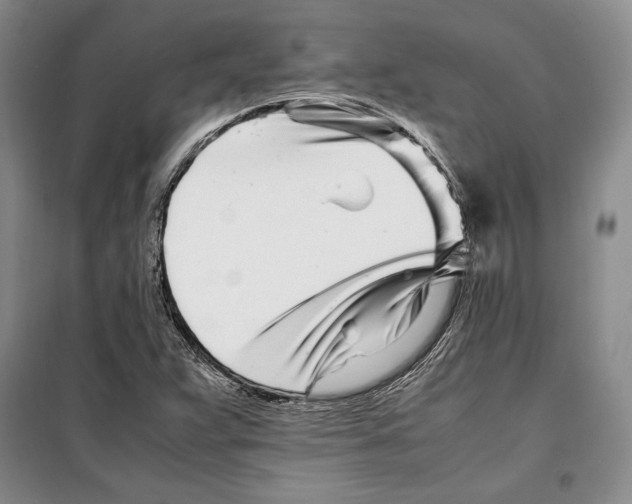 X0000099461359200806061119