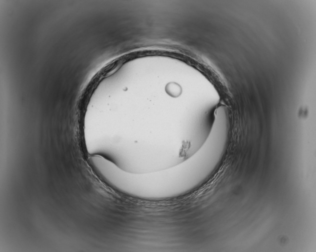 X0000099461360200806061119