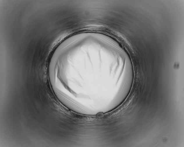 X0000099461362200806061119