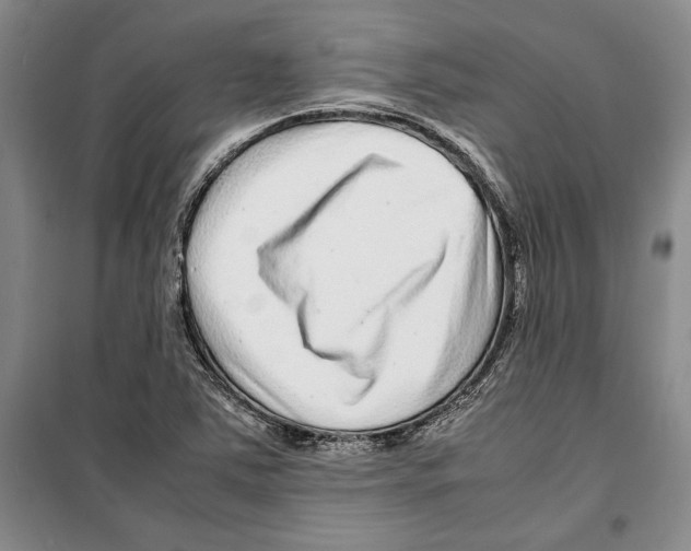 X0000099461363200806061119