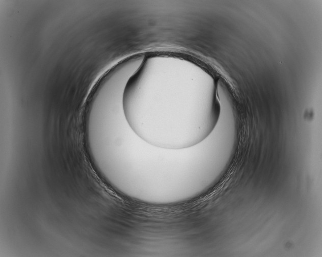 X0000099461364200806061119