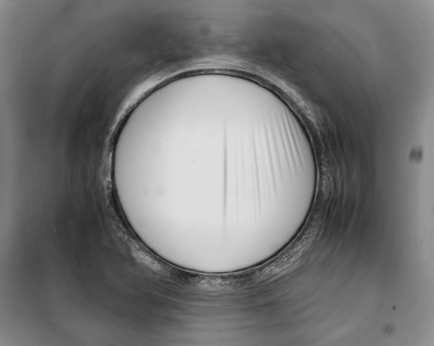 X0000099461366200806061119