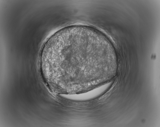 X0000099461367200806061119