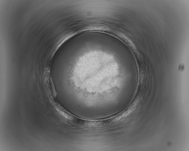 X0000099461369200806061119