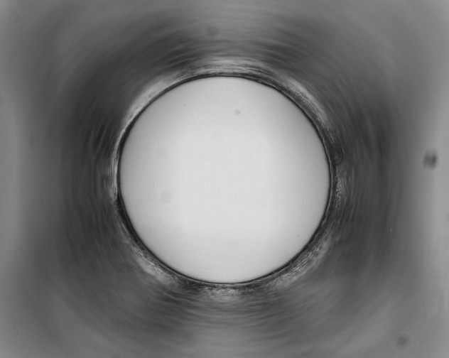 X0000099461370200806061119