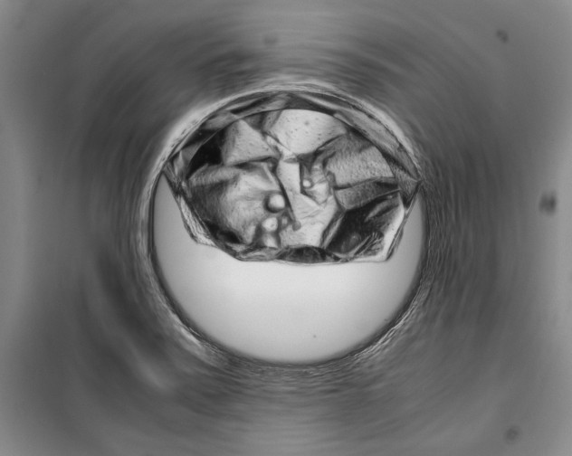 X0000099461371200806061119