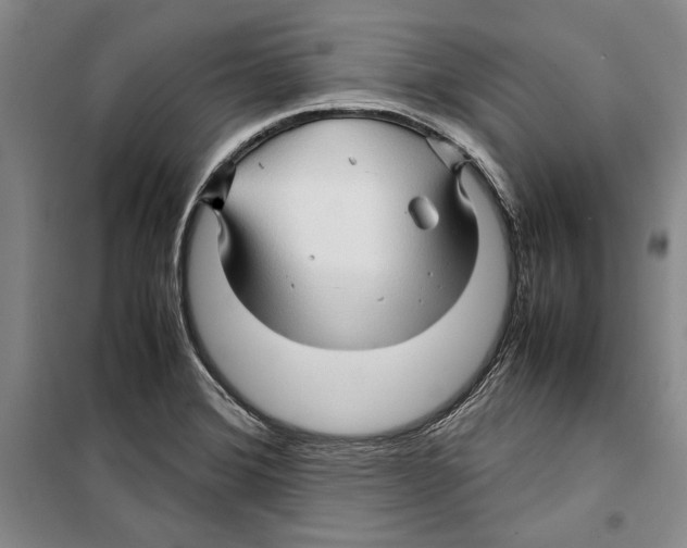 X0000099461372200806061119