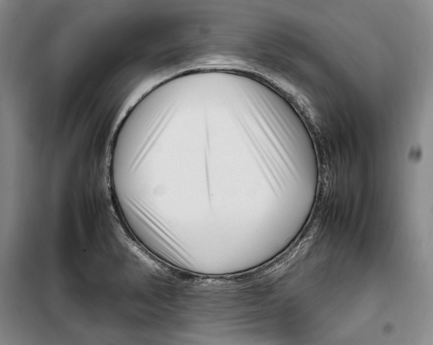 X0000099461374200806061119