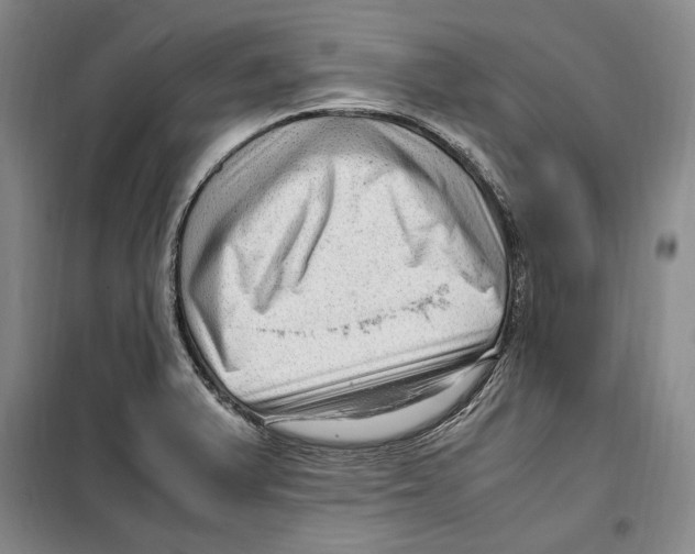 X0000099461375200806061119