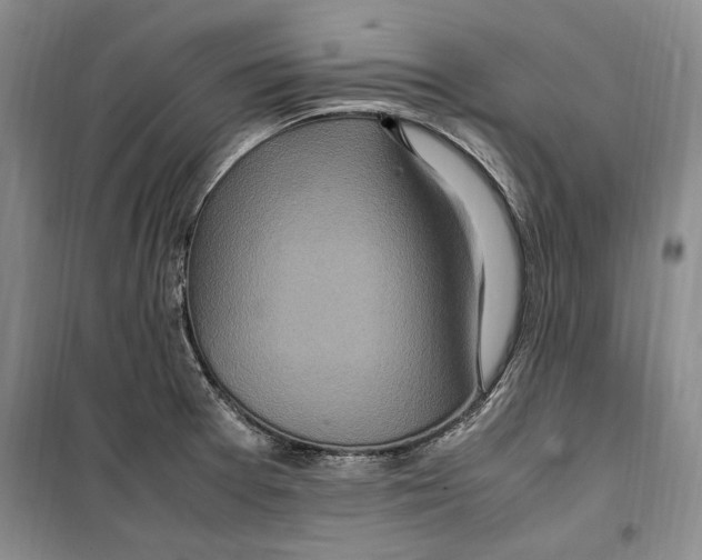 X0000099461377200806061119