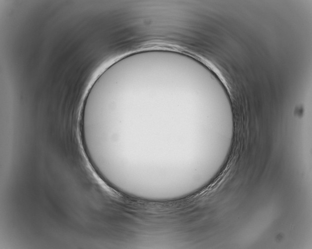 X0000099461379200806061119