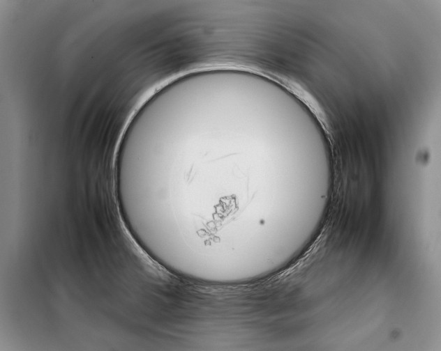 X0000099461380200806061119