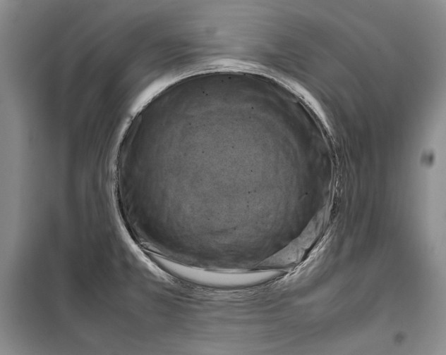 X0000099461381200806061119