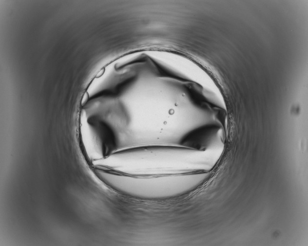 X0000099461383200806061119