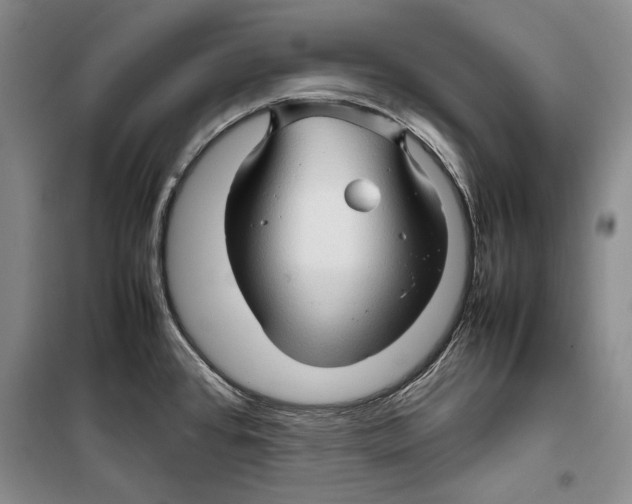 X0000099461384200806061119