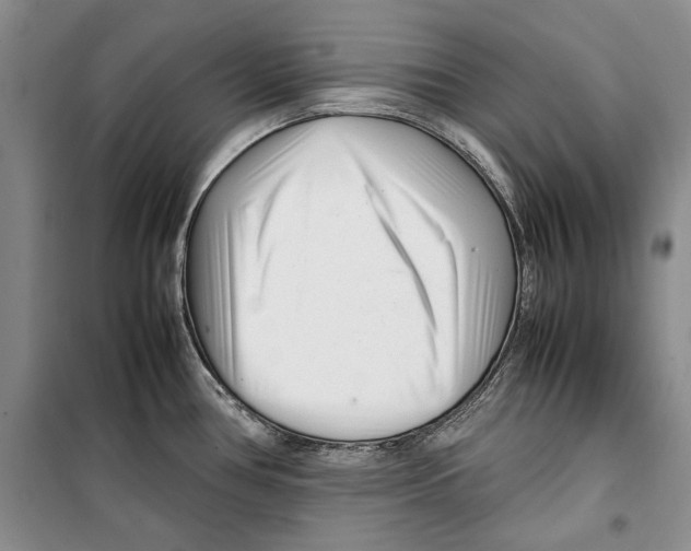 X0000099461386200806061119