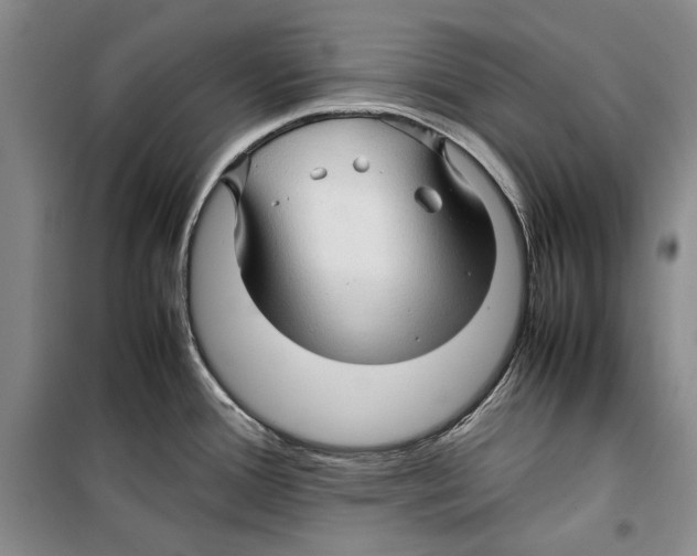 X0000099461388200806061119