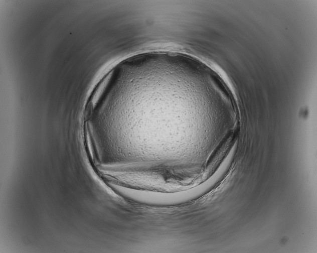 X0000099461389200806061119