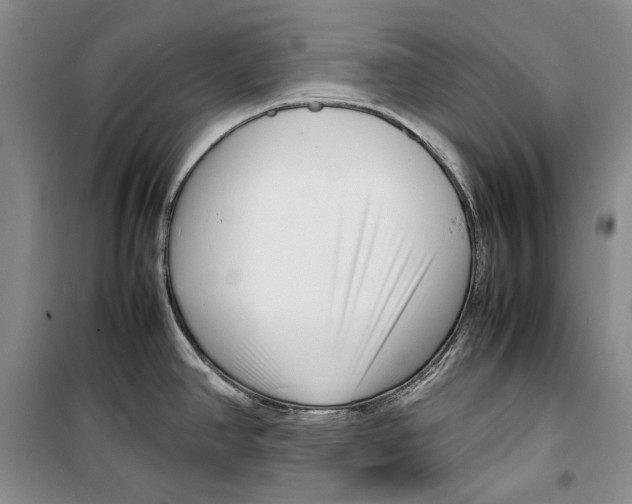 X0000099461390200806061119